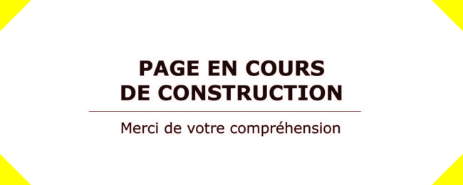 Site-Page-en-construction-650x260
